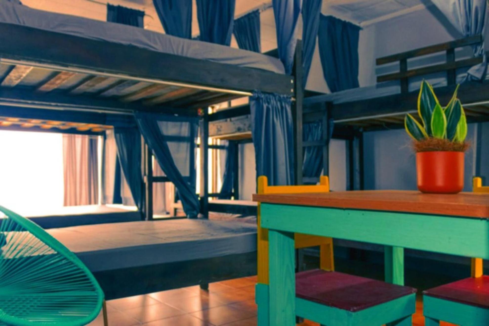Chillout Hostel Barrio Escalante 聖荷西 外观 照片